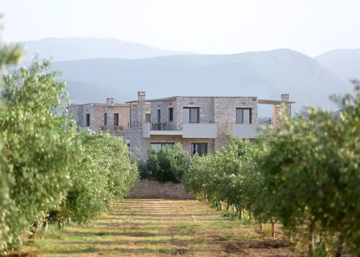 Azari Lifetime Memories *